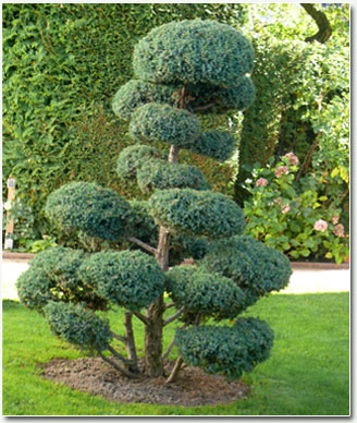 Baum- und Gehölzarbeiten Garten und Landschaftsgestaltung Ehl GmbH