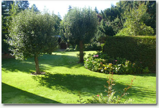 Baum- und Gehölzarbeiten Garten und Landschaftsgestaltung Ehl GmbH